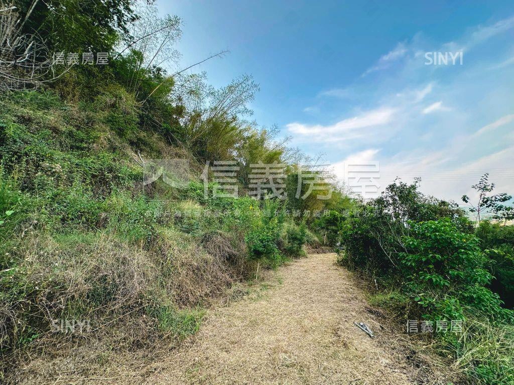 美濃大地坪土地房屋室內格局與周邊環境