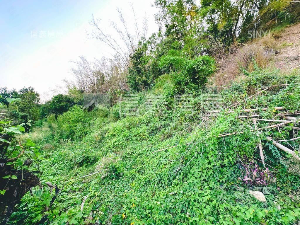 美濃大地坪土地房屋室內格局與周邊環境