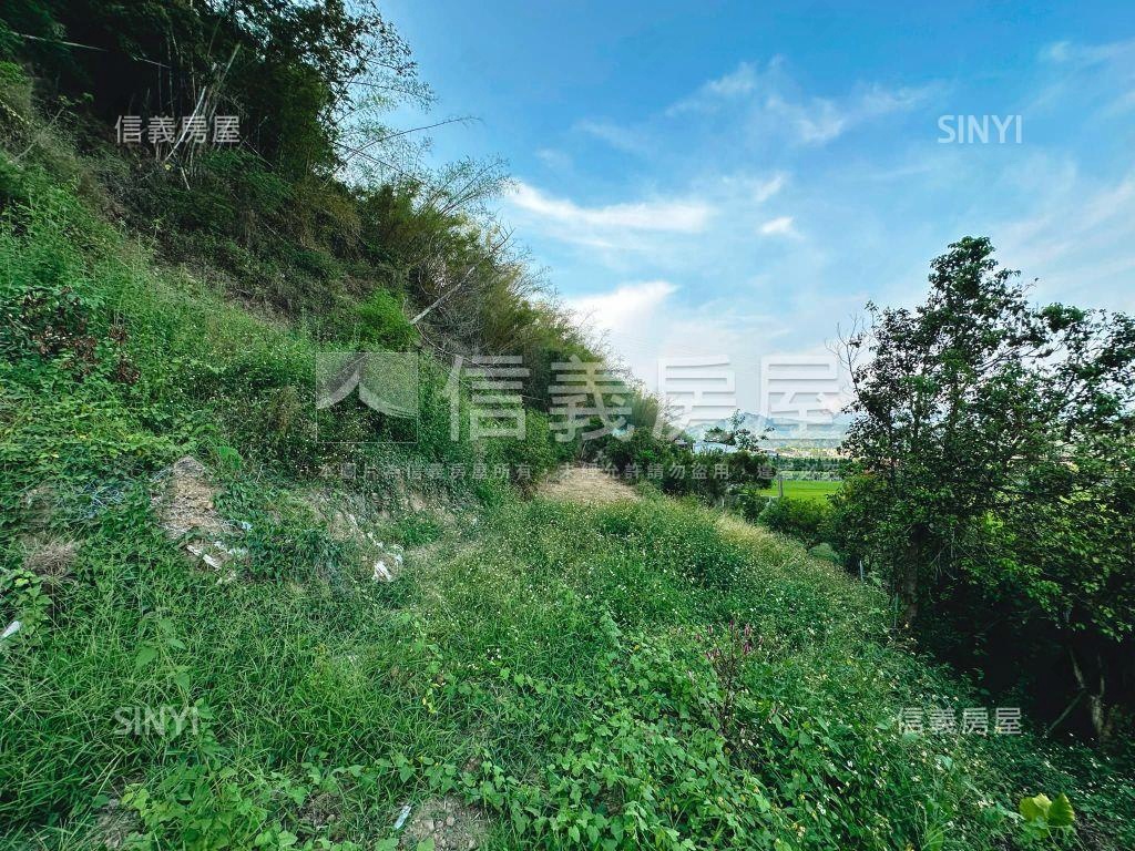 美濃大地坪土地房屋室內格局與周邊環境