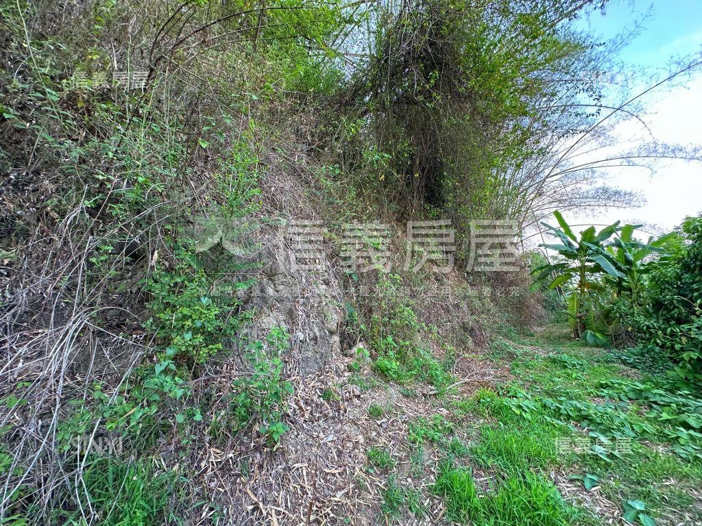 美濃大地坪土地房屋室內格局與周邊環境
