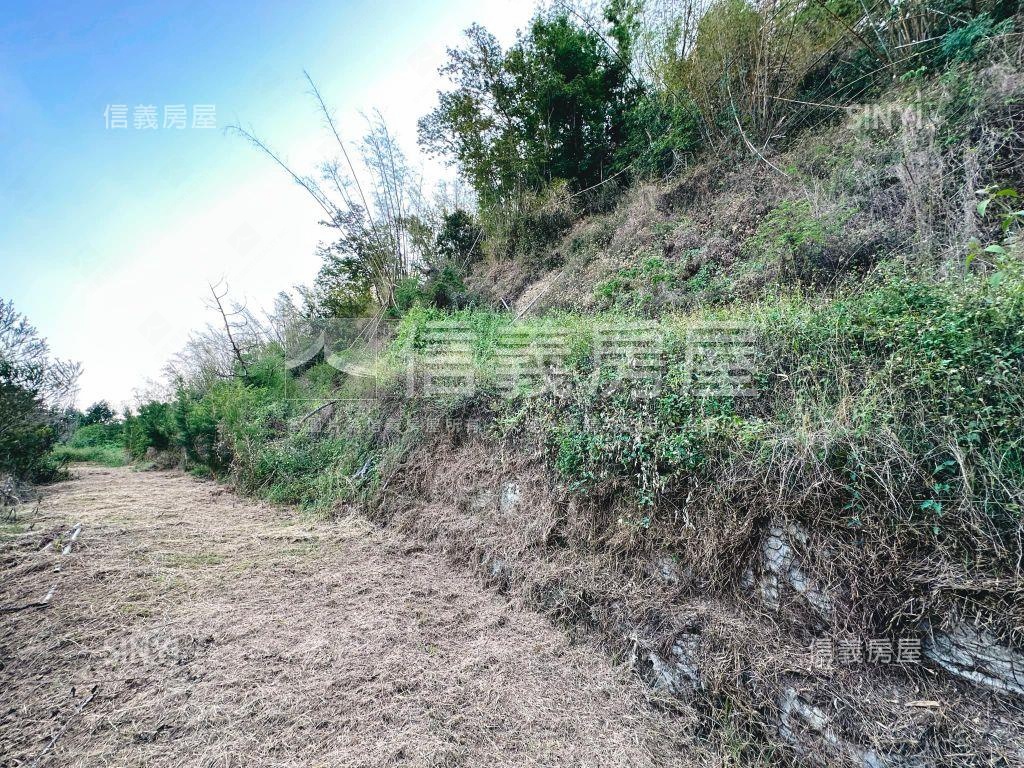 美濃大地坪土地房屋室內格局與周邊環境