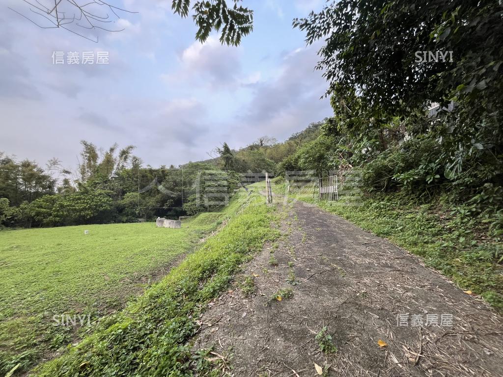 大溪很大的地房屋室內格局與周邊環境