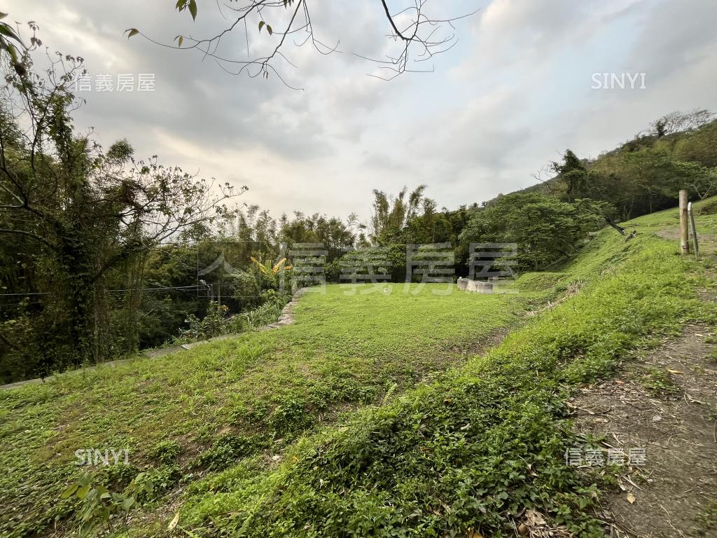 大溪很大的地房屋室內格局與周邊環境