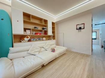 安南整新科技透天車墅