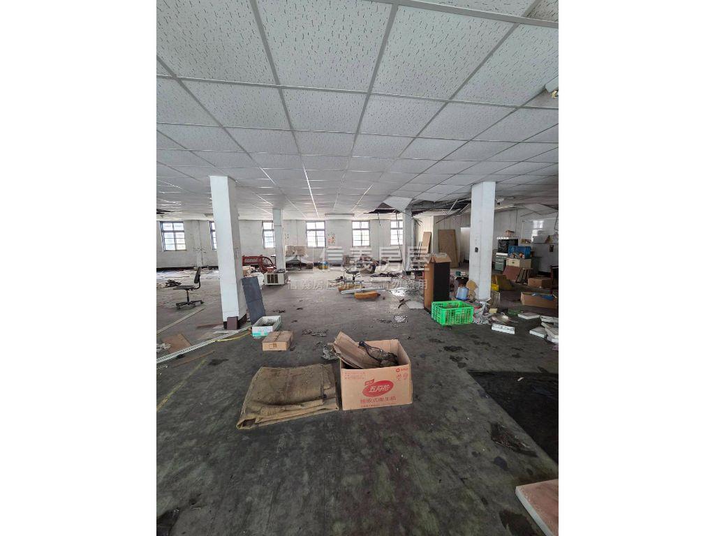 金陵透天房屋室內格局與周邊環境