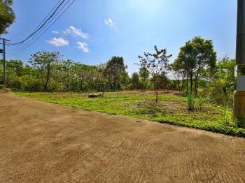 大湖路休閒農地－琉森莊園