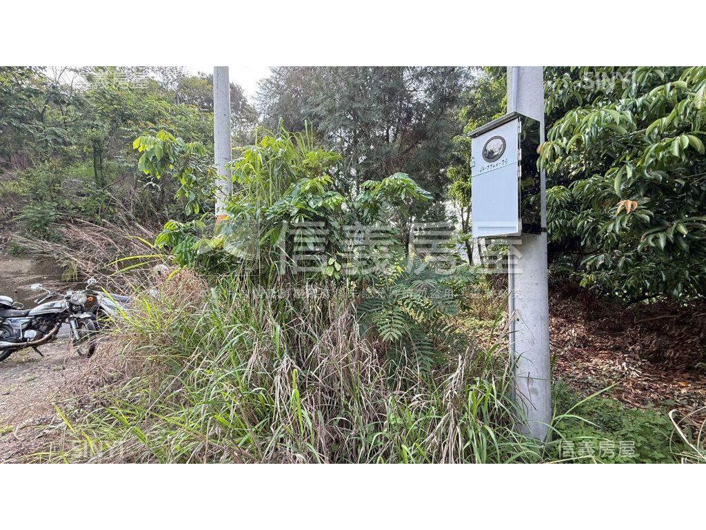 俗俗山坡地有水有電房屋室內格局與周邊環境