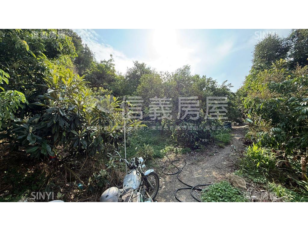 俗俗山坡地有水有電房屋室內格局與周邊環境