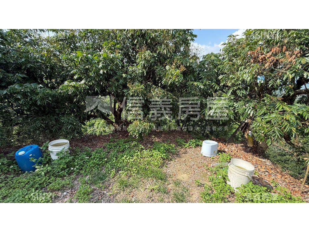 俗俗山坡地有水有電房屋室內格局與周邊環境