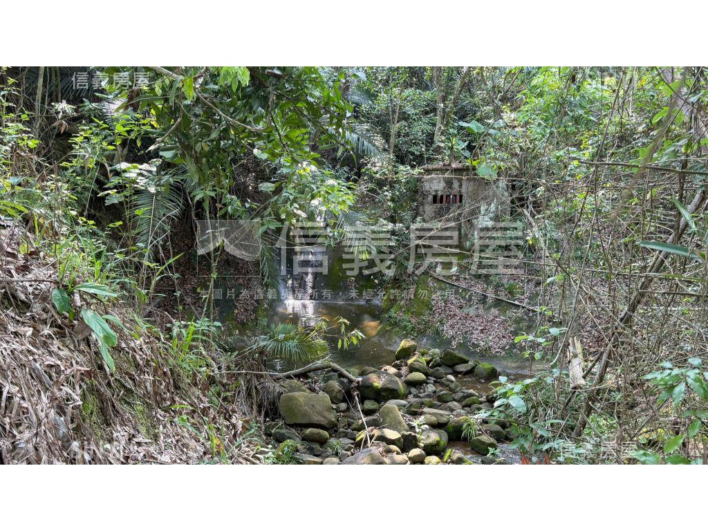 俗俗山坡地有水有電房屋室內格局與周邊環境