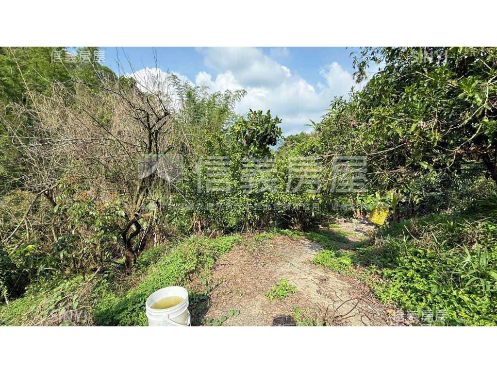 俗俗山坡地有水有電房屋室內格局與周邊環境