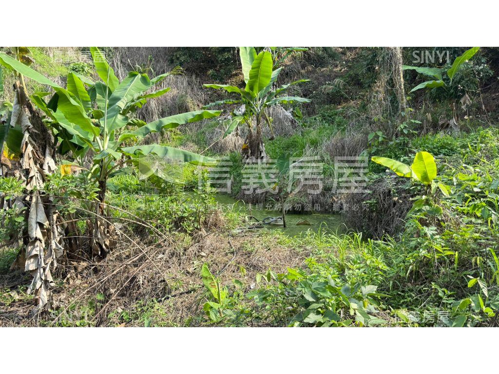 俗俗山坡地有水有電房屋室內格局與周邊環境