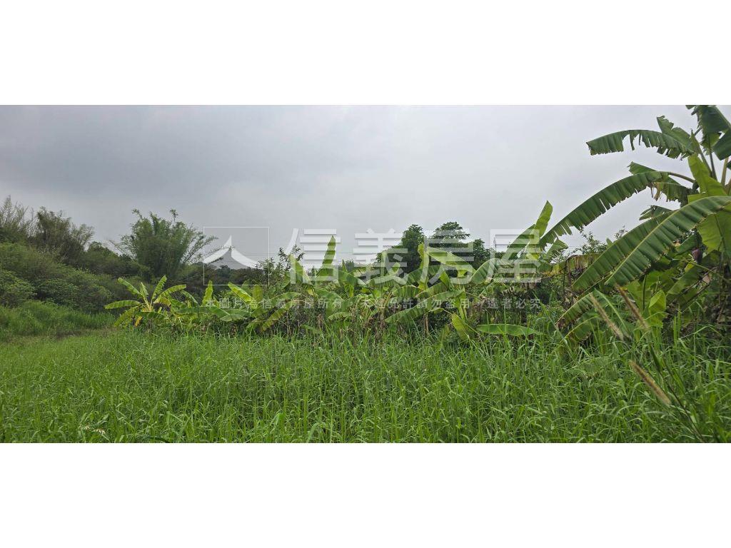 左鎮近新化約９．３分農地房屋室內格局與周邊環境