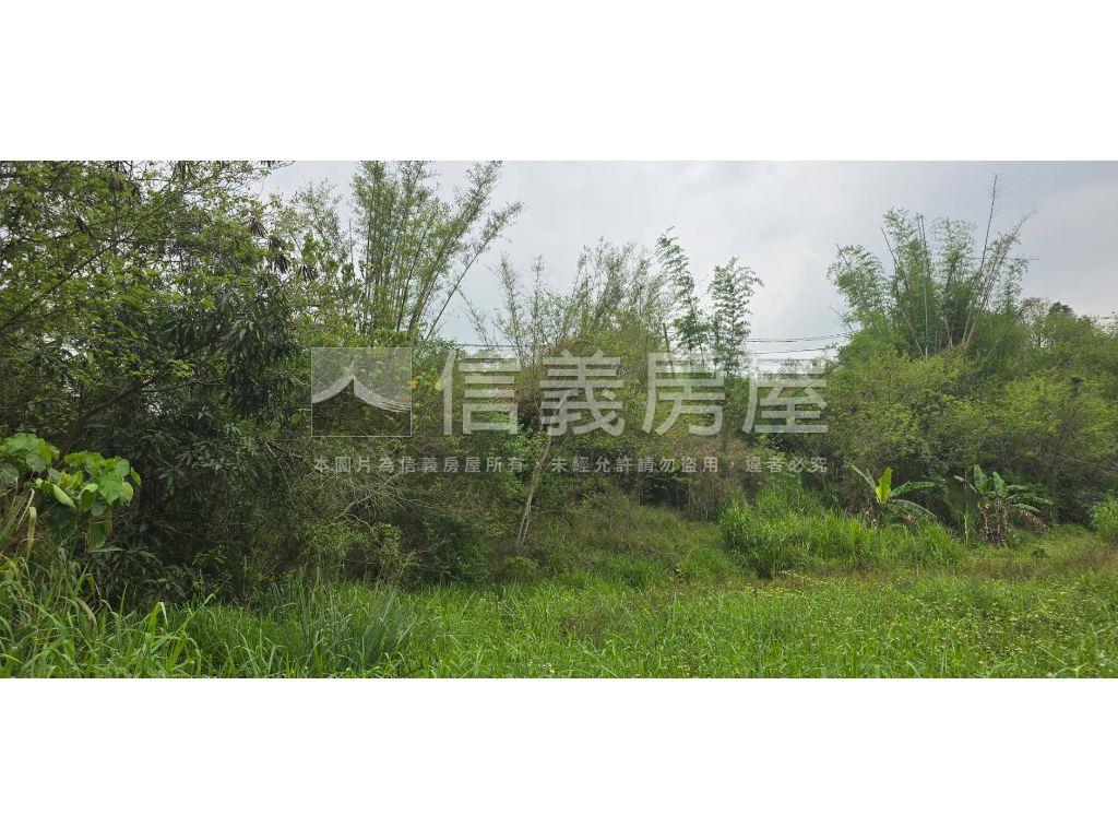 左鎮近新化約９．３分農地房屋室內格局與周邊環境