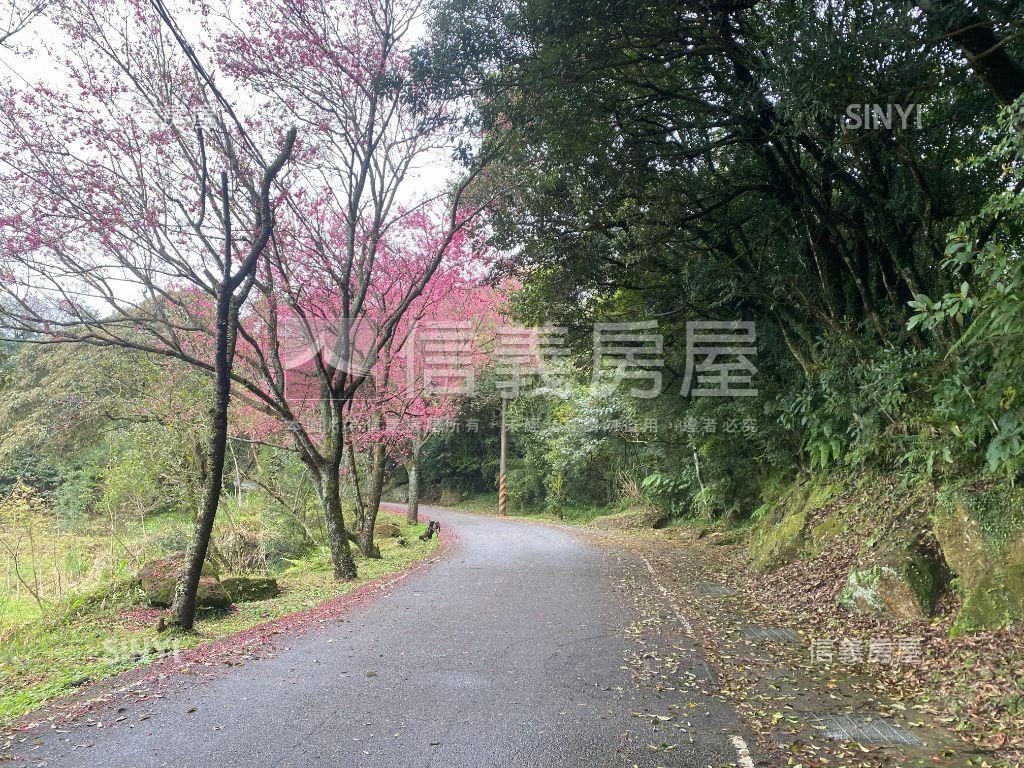 陽明山竹子湖旁大空間透天房屋室內格局與周邊環境