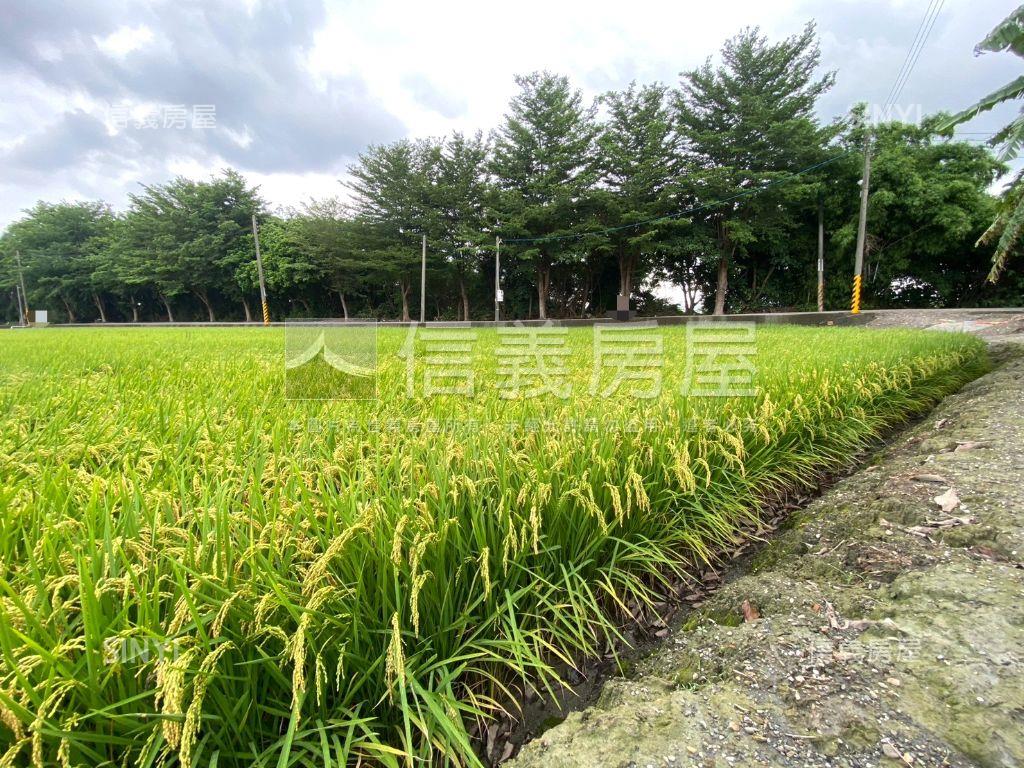秀水㊣漂亮臨路方正農地房屋室內格局與周邊環境