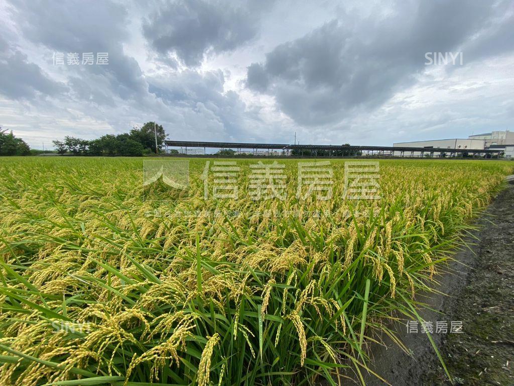 秀水㊣漂亮臨路方正農地房屋室內格局與周邊環境