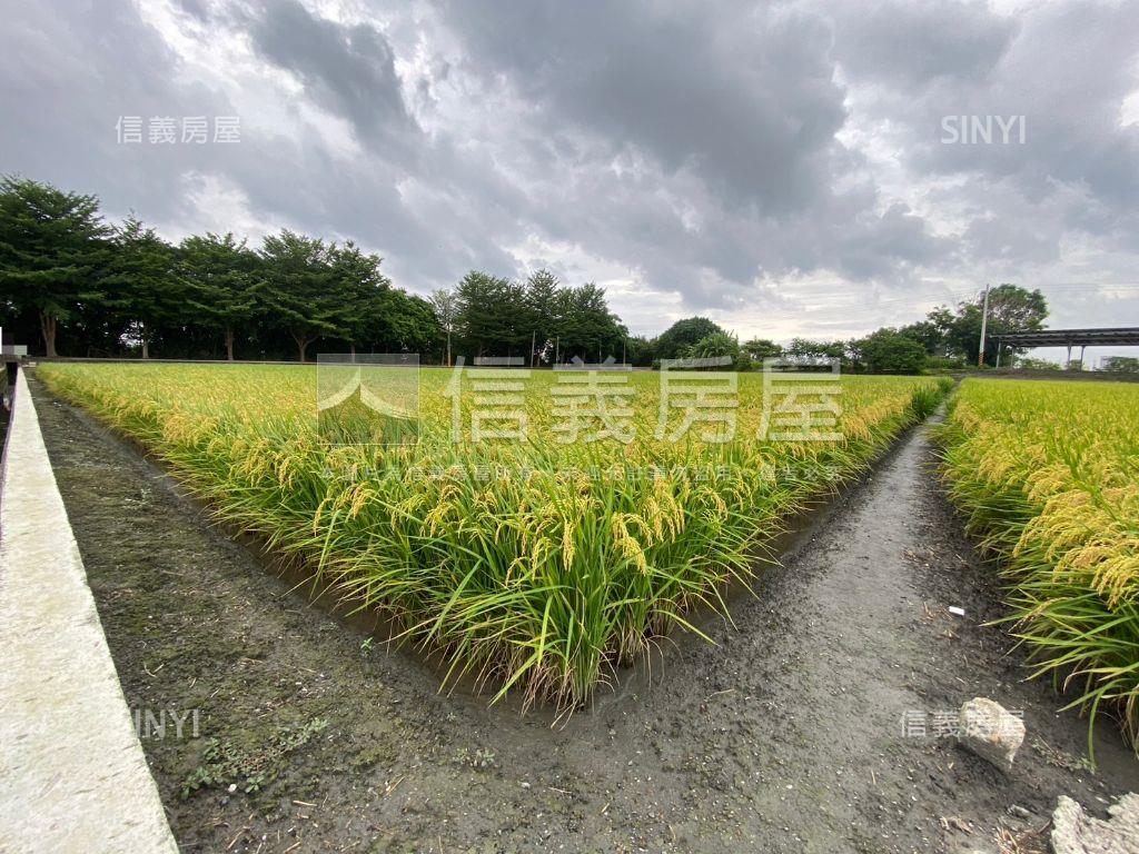 秀水㊣漂亮臨路方正農地房屋室內格局與周邊環境