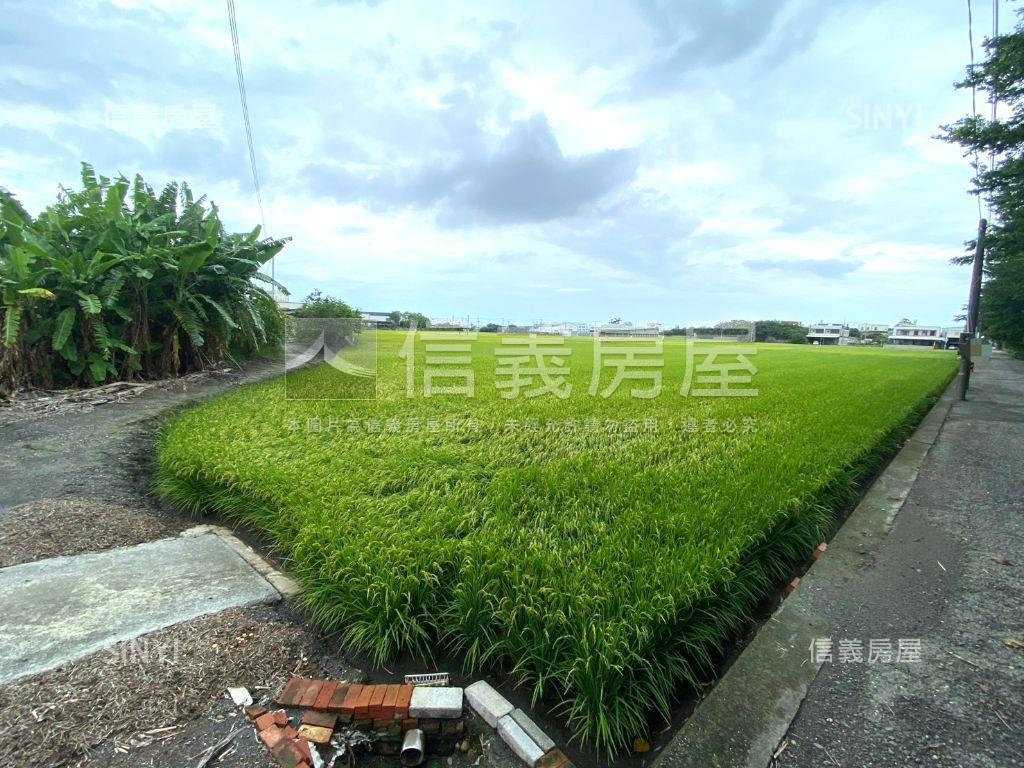 秀水㊣漂亮臨路方正農地房屋室內格局與周邊環境