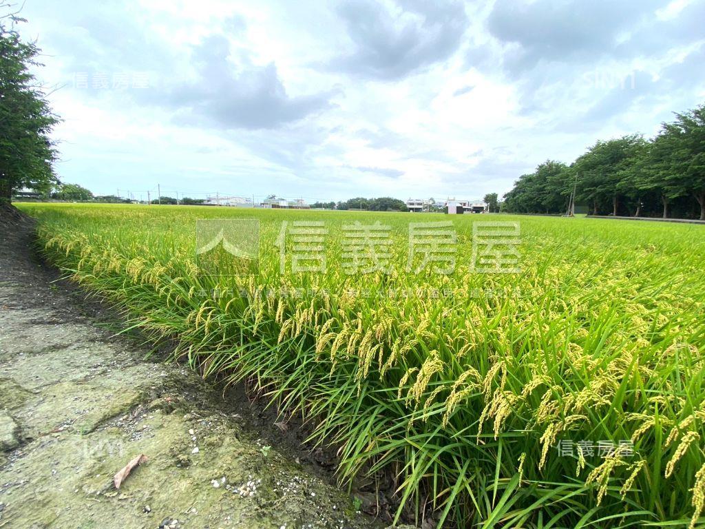 秀水㊣漂亮臨路方正農地房屋室內格局與周邊環境