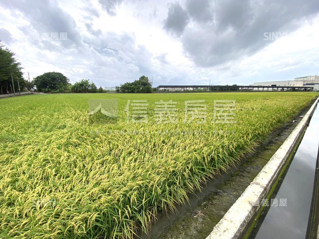 秀水㊣漂亮臨路方正農地房屋室內格局與周邊環境