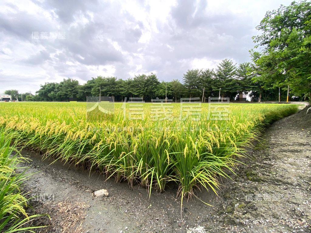 秀水㊣漂亮臨路方正農地房屋室內格局與周邊環境