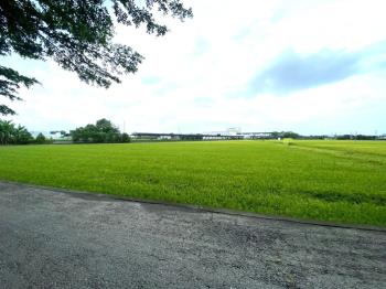 秀水㊣漂亮臨路方正農地