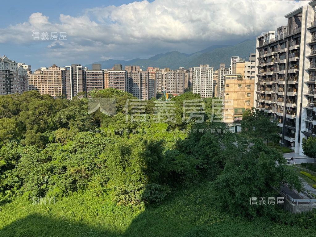 綠景大戶，稀有長頸鹿房屋室內格局與周邊環境