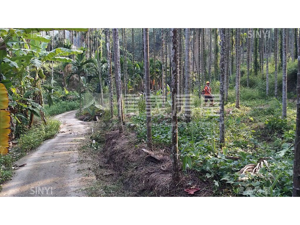 心台農場旁美農地房屋室內格局與周邊環境