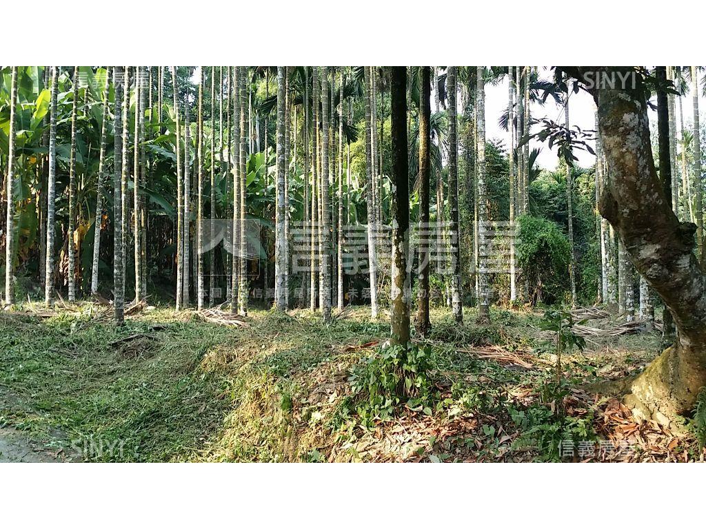 心台農場旁美農地房屋室內格局與周邊環境