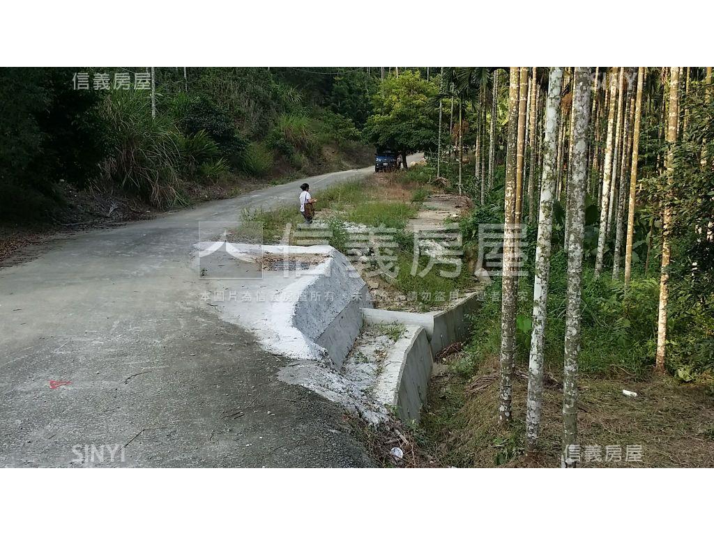 心台農場旁美農地房屋室內格局與周邊環境