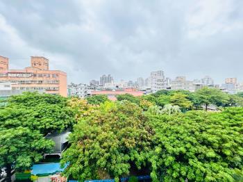 綠蔭環繞仁和青春大空間