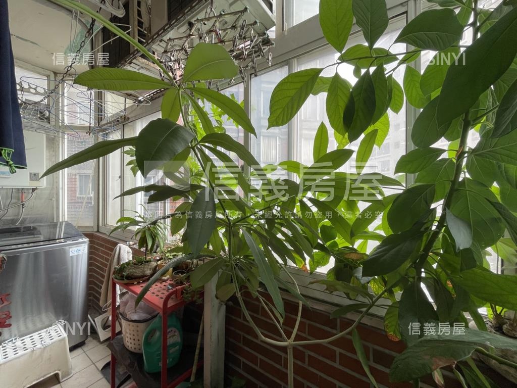 巴黎伯爵＿職人咖啡薰陶宅房屋室內格局與周邊環境