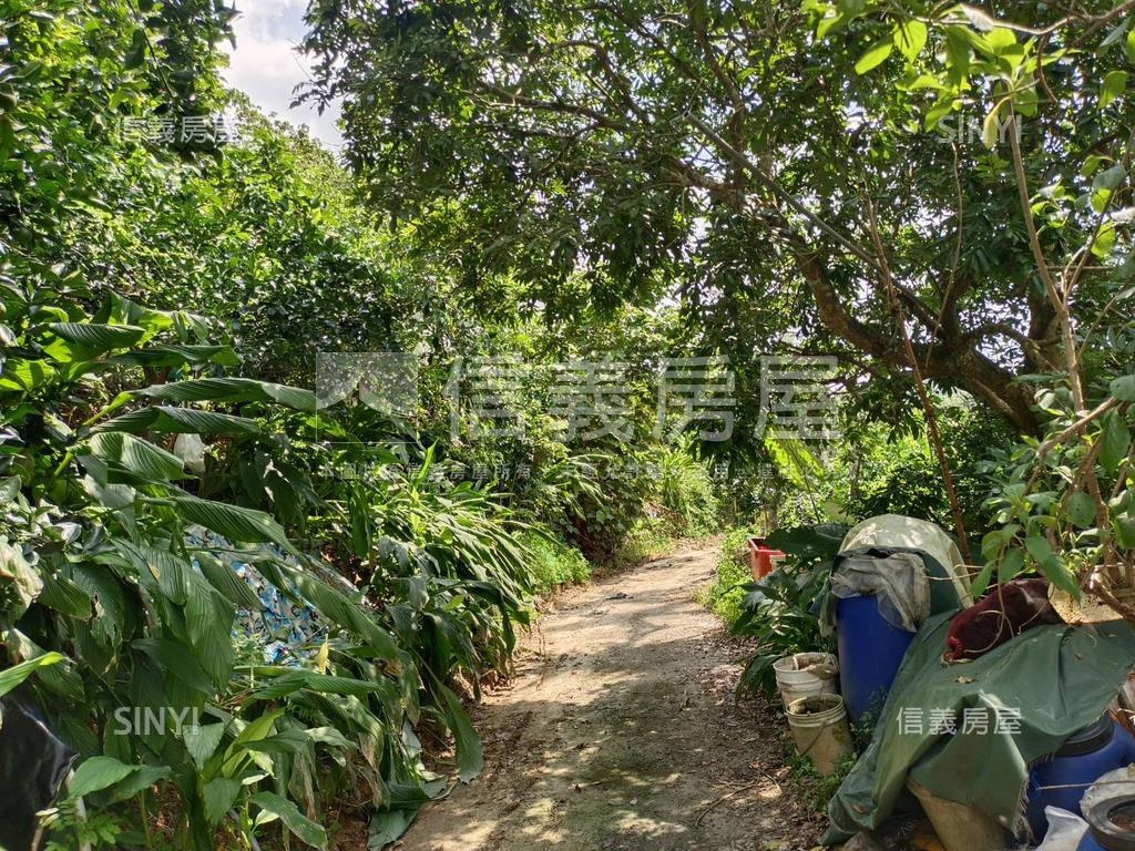 專任⭐中寮臨路美農地房屋室內格局與周邊環境