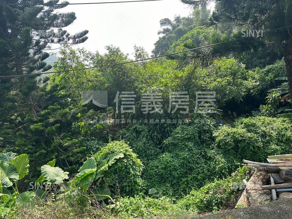 長坑段土地９０４優質土地房屋室內格局與周邊環境