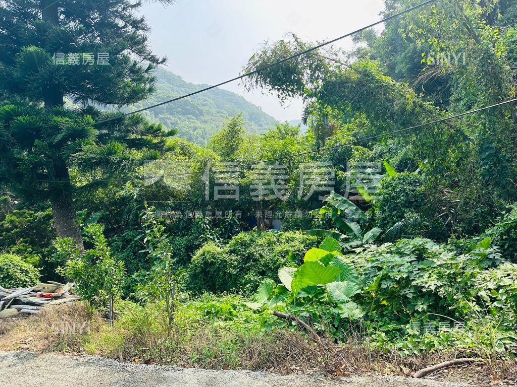 長坑段土地９０４優質土地房屋室內格局與周邊環境