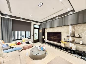 頂新特區面寬質感車墅