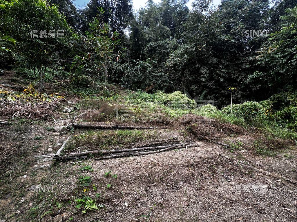 竹山山坡農牧用地房屋室內格局與周邊環境