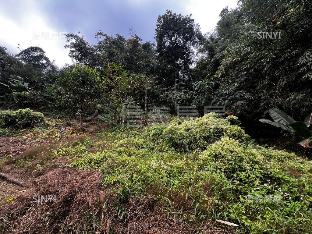 竹山山坡農牧用地房屋室內格局與周邊環境