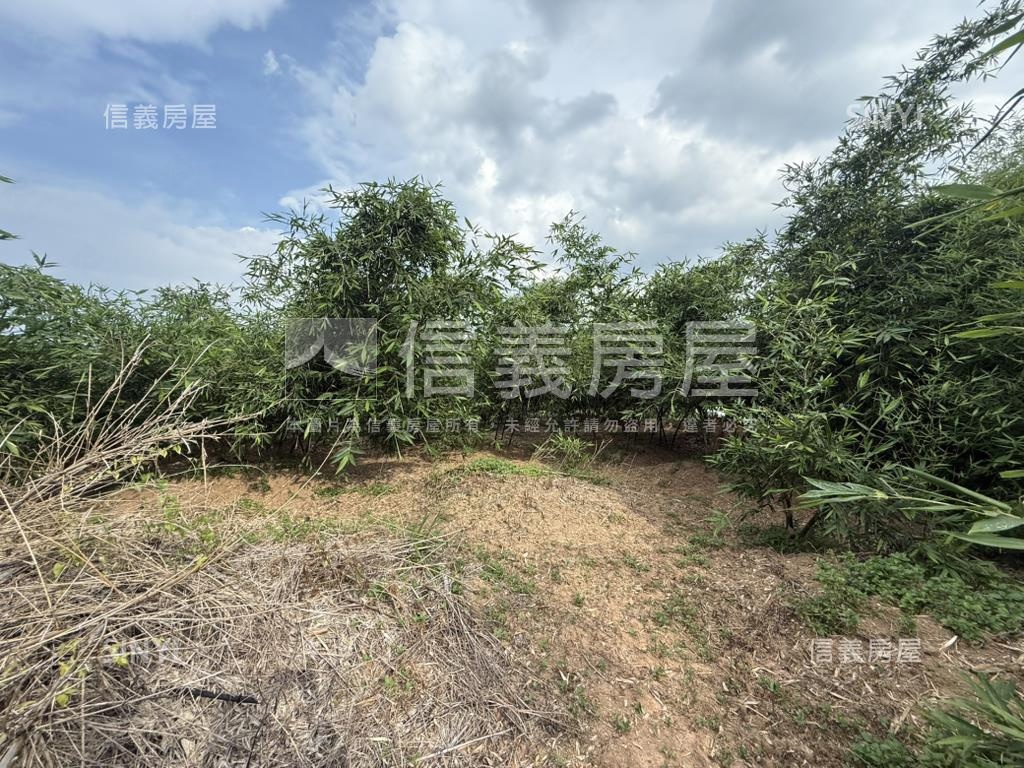 五股坑土地房屋室內格局與周邊環境