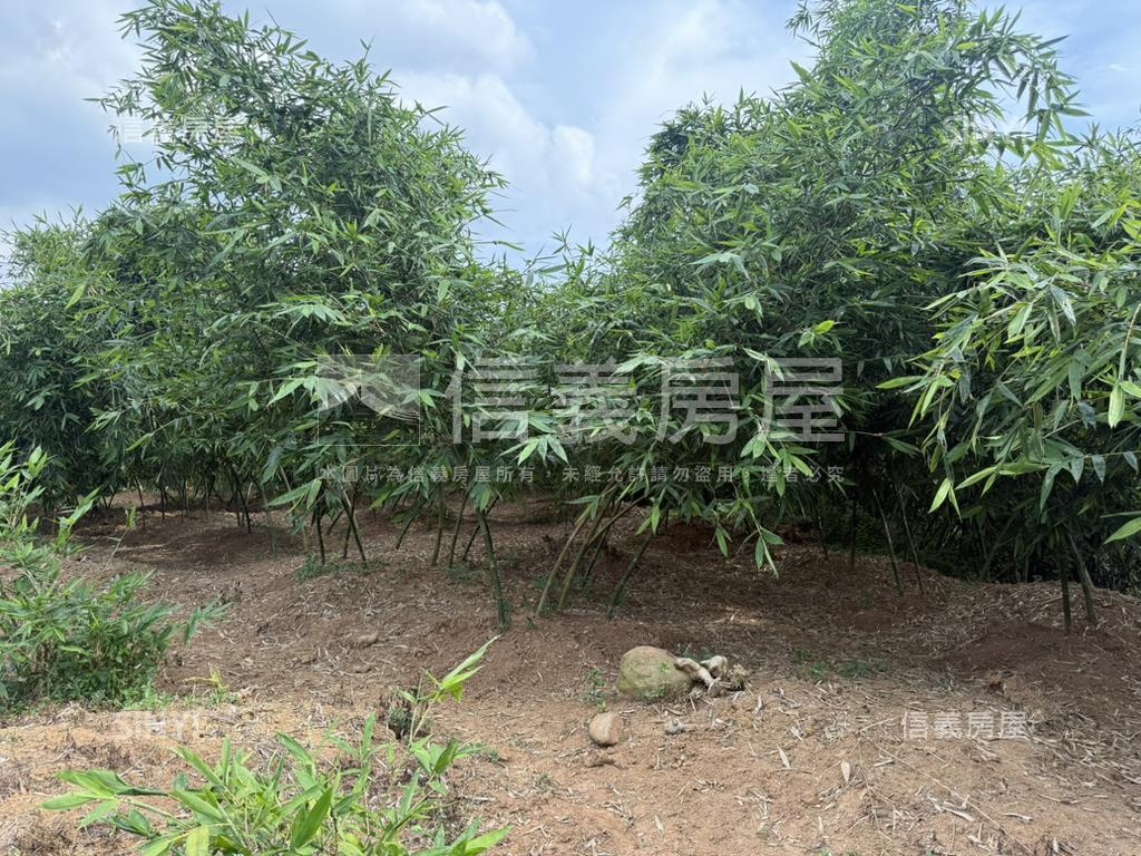 五股坑土地房屋室內格局與周邊環境