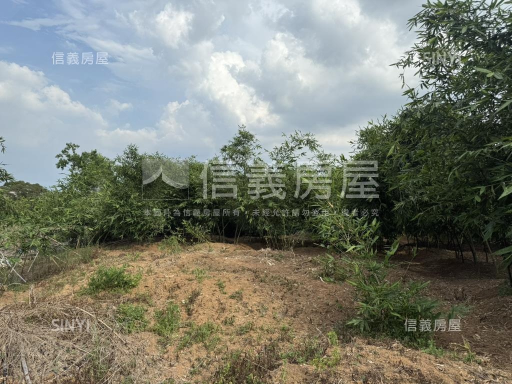 五股坑土地房屋室內格局與周邊環境