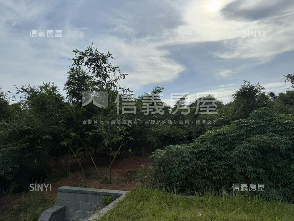 五股坑土地房屋室內格局與周邊環境
