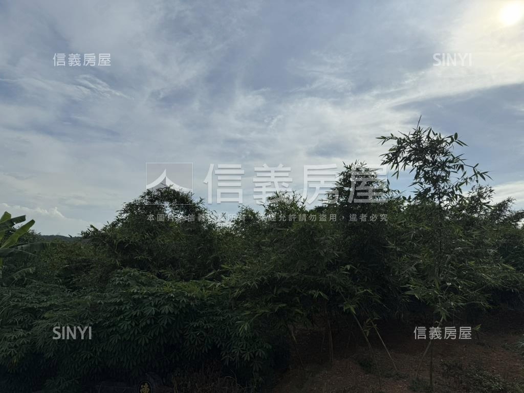 五股坑土地房屋室內格局與周邊環境