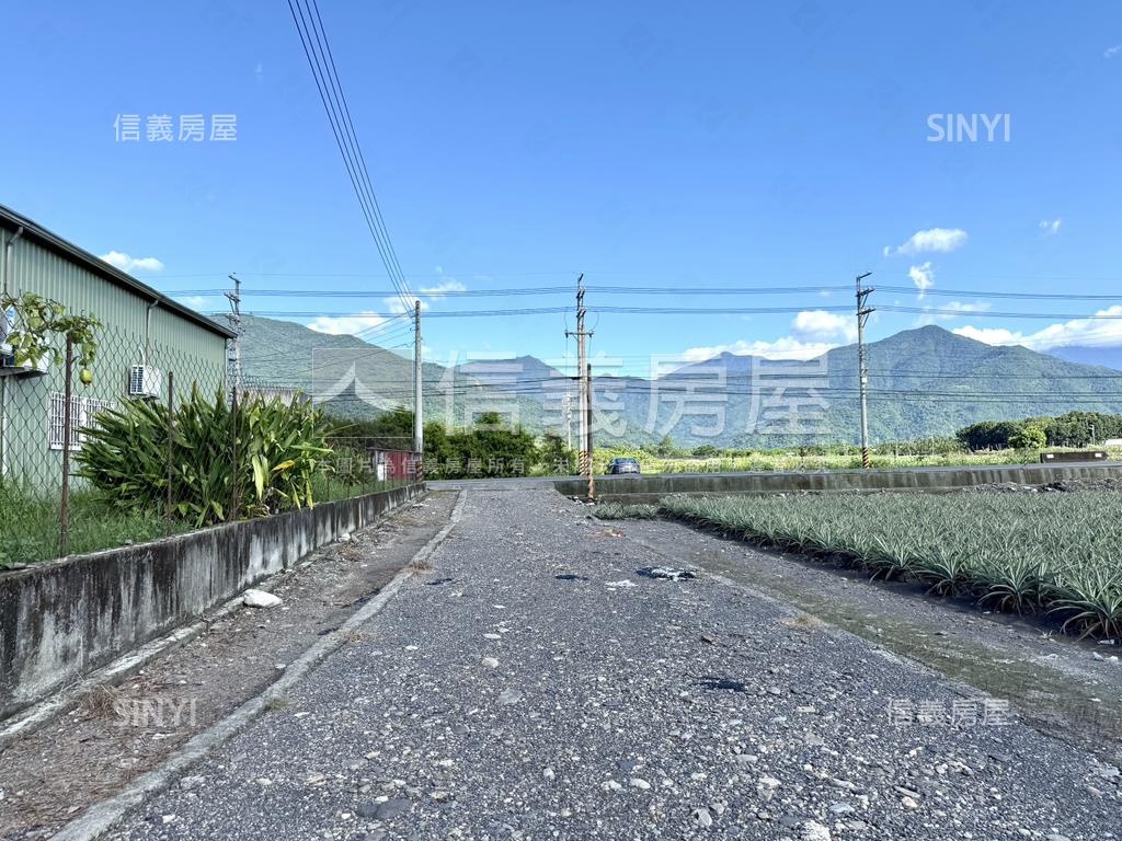 高樹新泰山段漂亮農地房屋室內格局與周邊環境