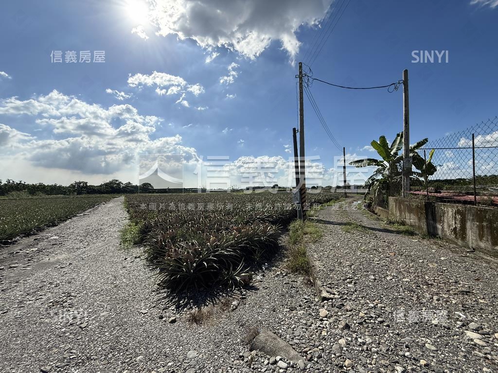 高樹新泰山段漂亮農地房屋室內格局與周邊環境