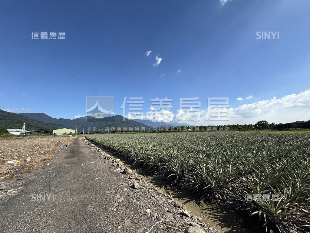 高樹新泰山段漂亮農地房屋室內格局與周邊環境