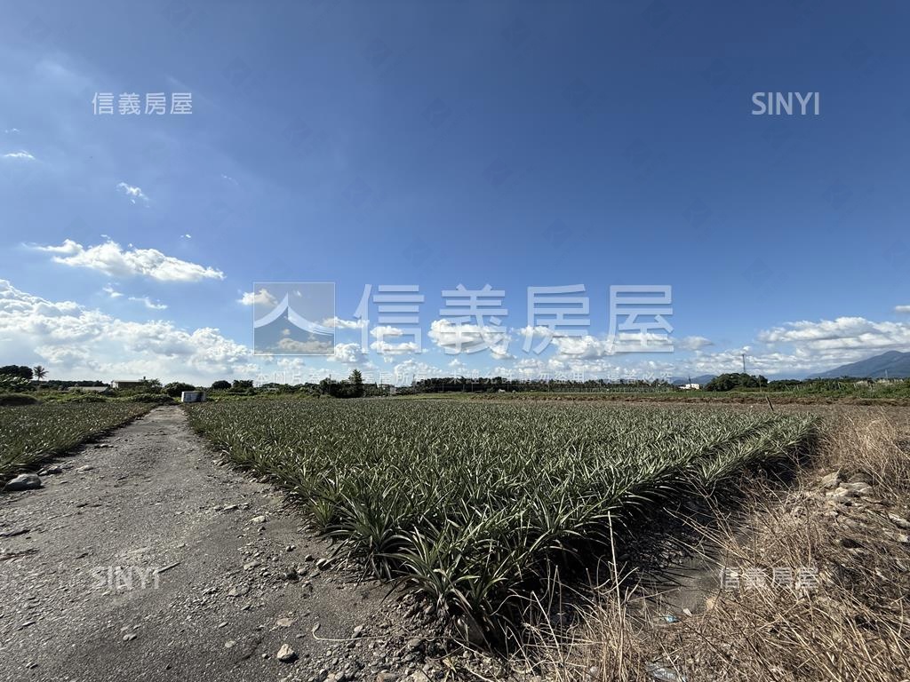 高樹新泰山段漂亮農地房屋室內格局與周邊環境