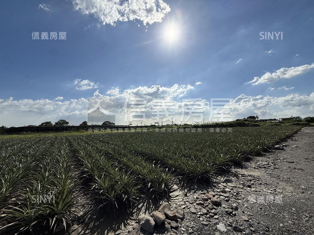 高樹新泰山段漂亮農地房屋室內格局與周邊環境