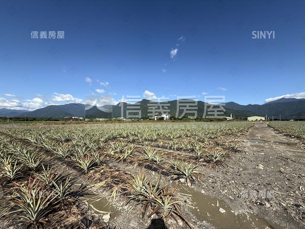 高樹新泰山段漂亮農地房屋室內格局與周邊環境